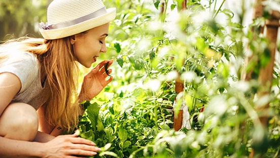 Dein eigener Kräutergarten – für mehr Aroma beim Kochen