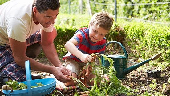 Vom Fensterbrett bis zum Garten: So baust du zuhause dein eigenes Obst und Gemüse an